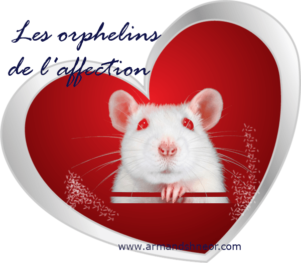 Les orphelins de l'affection